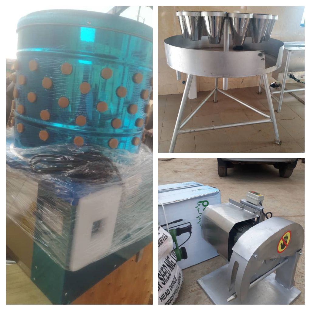 Poultry processing line equipment